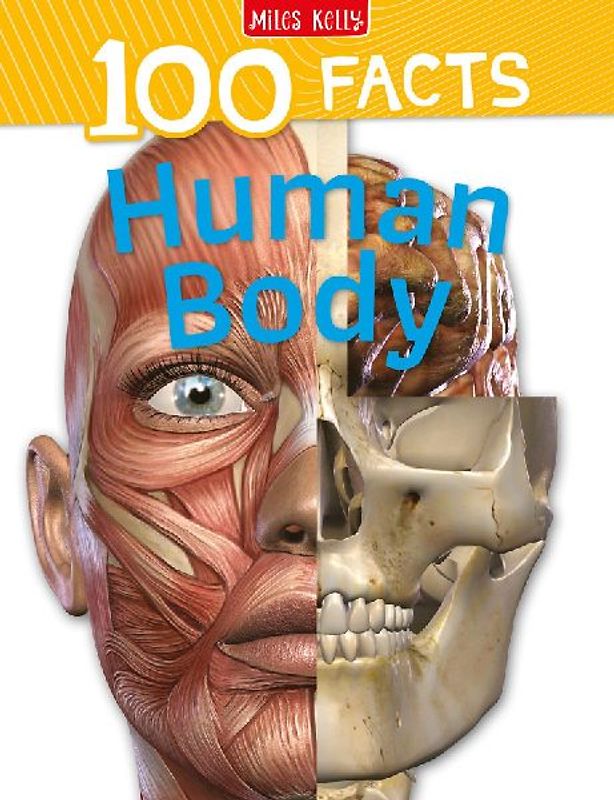 Human Body