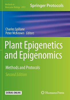 Plant Epigenetics and Epigenomics