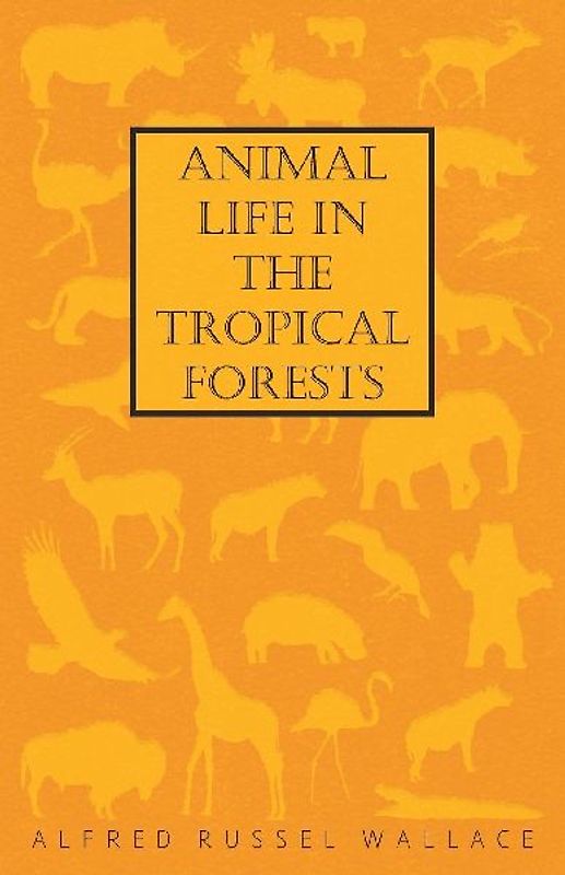 Animal Life in the Tropical Forests