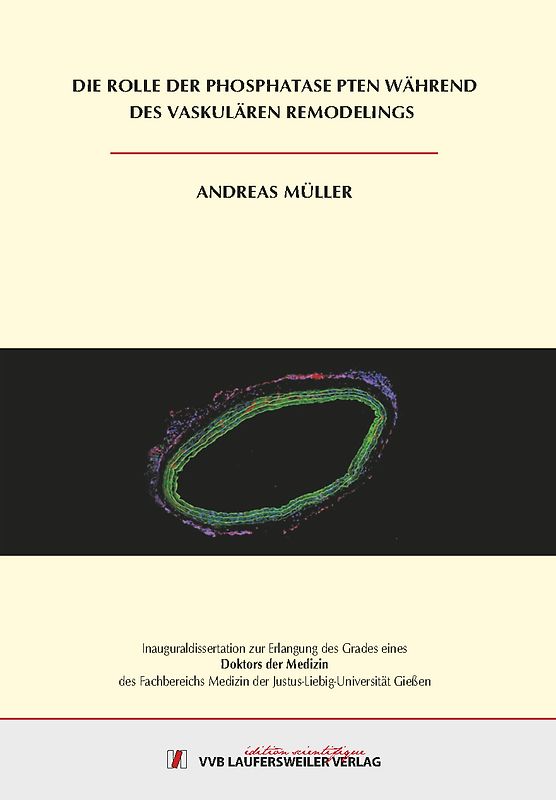 Die Rolle der Phosphatase PTEN während des vaskulären Remodelings