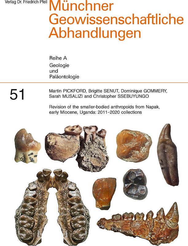 Revision of the smaller-bodied anthropoids from Napak, early Miocene, Uganda: 2011-2020 collections