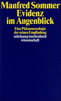 Evidenz im Augenblick