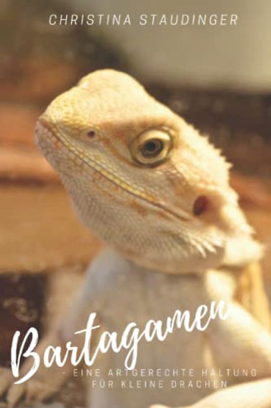 Bartagamen - eine artgerechte Haltung für kleine Drachen