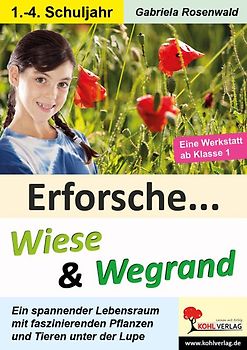 Erforsche Wiese und Wegrand