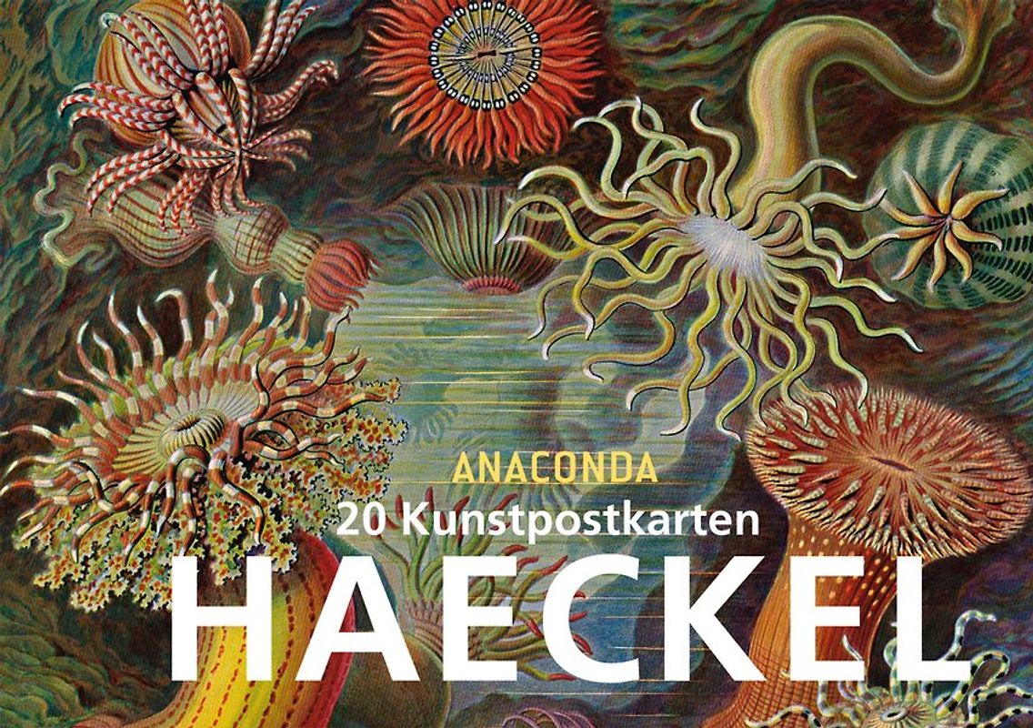 Postkartenbuch Ernst Haeckel