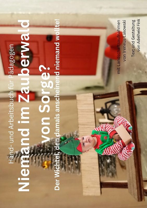 Hand- und Arbeitsbuch für Pädagogen / Niemand im Zauberwald von Sorge