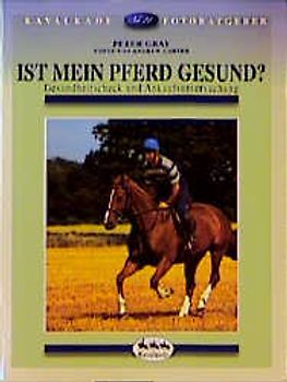 Ist mein Pferd gesund?. Gesundheitsscheck und Ankaufuntersuchung