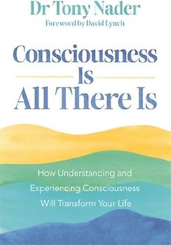 Consciousness Is All There Is