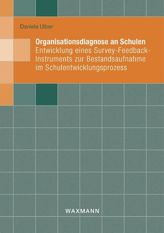 Organisationsdiagnose an Schulen