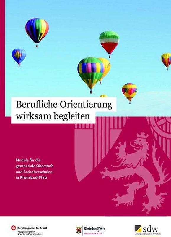 Berufliche Orientierung wirksam begleiten