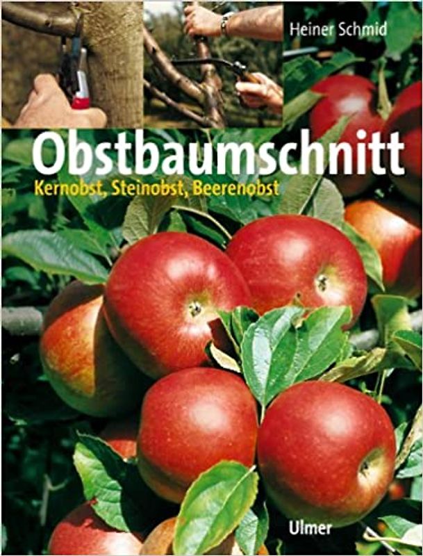 Obstbaumschnitt