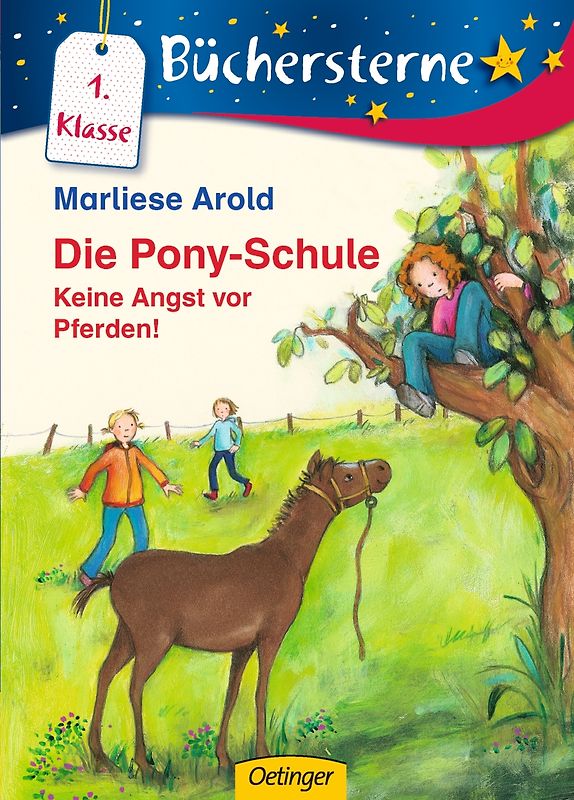 Die Pony-Schule. Keine Angst vor Pferden