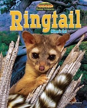 Ringtail