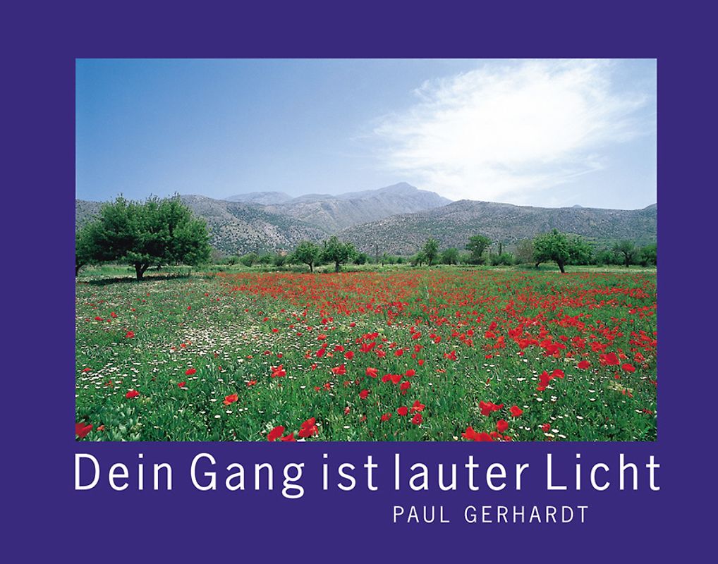 Dein Gang ist lauter Licht