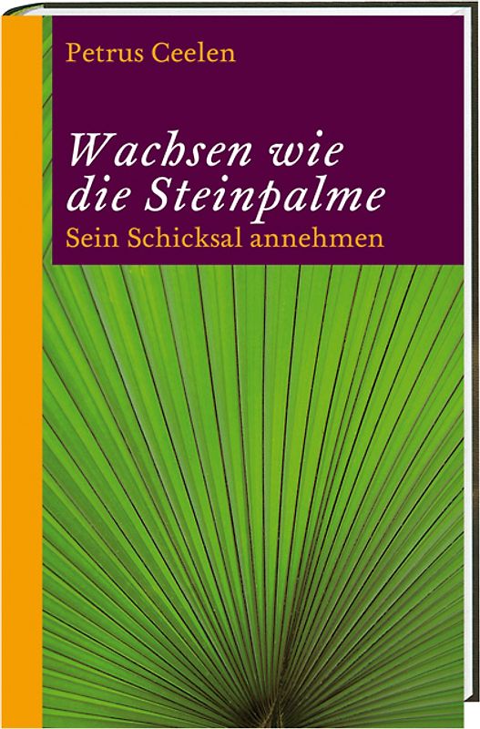 Wachsen wie die Steinpalme