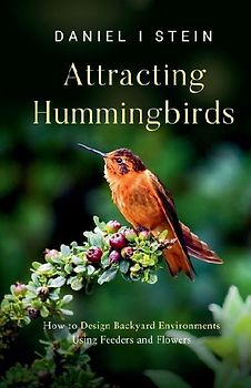 Attracting Hummingbirds