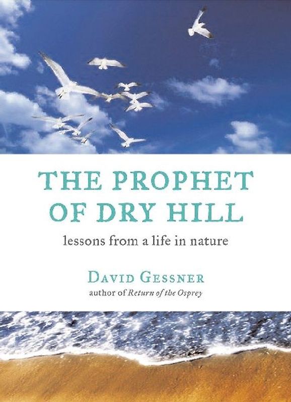 The Prophet of Dry Hill