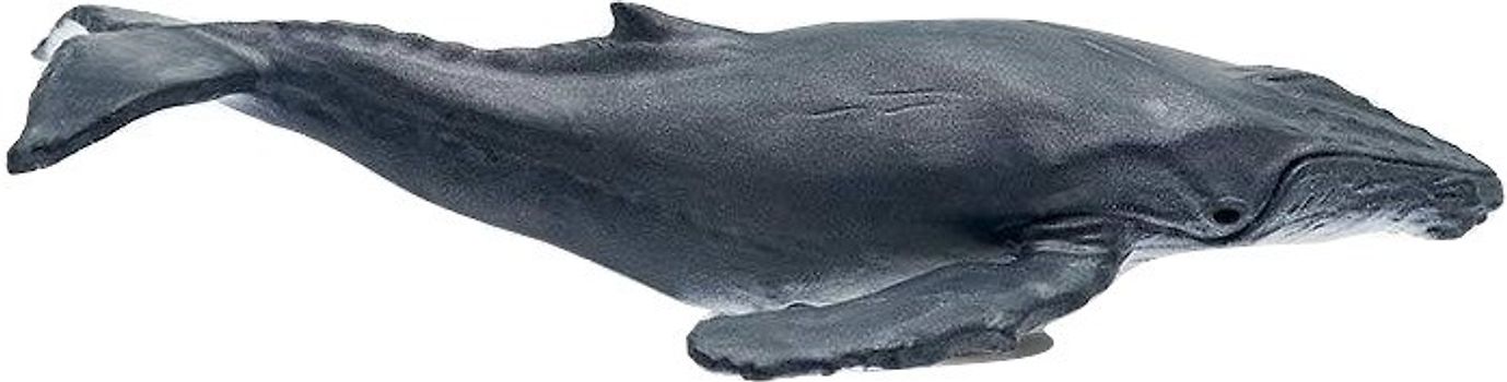 Tonies®: Was ist was? - Wale & Delfine und Geheimnis Tiefsee [2 Themen]