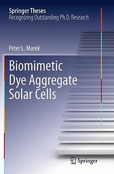 Biomimetic Dye Aggregate Solar Cells