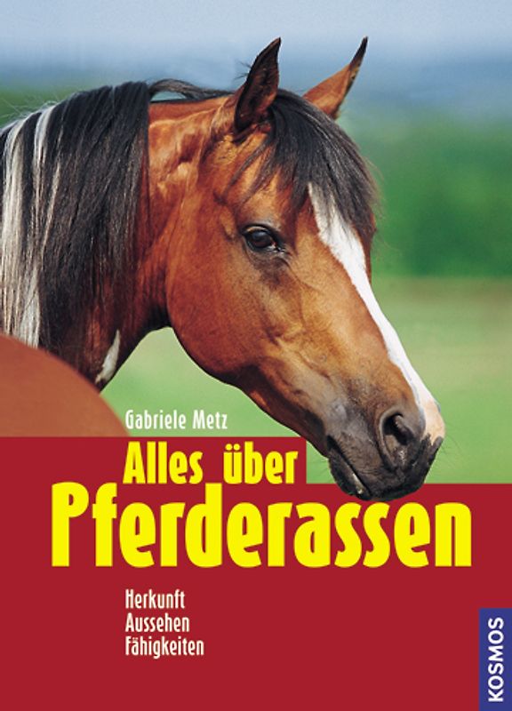 Alles über Pferderassen