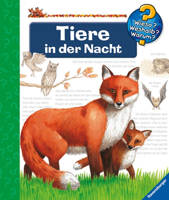 Tiere in der Nacht