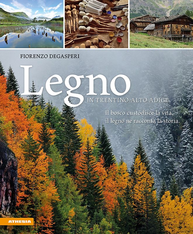 Legno in Trentino-Alto Adige