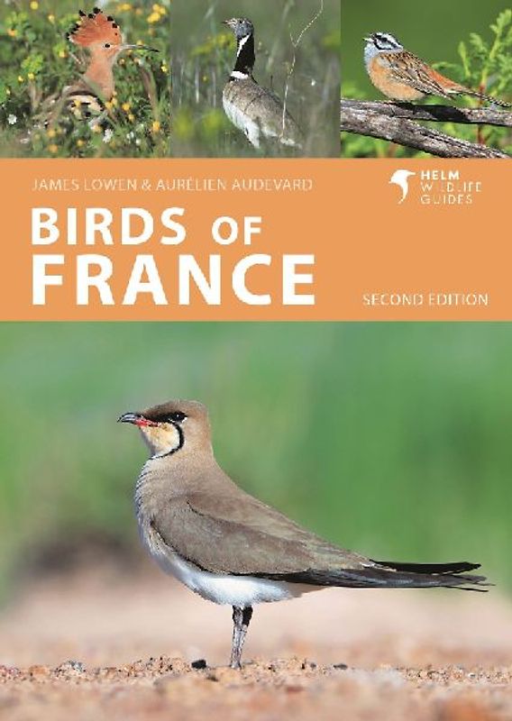 Birds of France