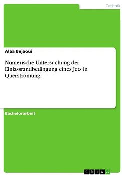 Numerische Untersuchung der Einlassrandbedingung eines Jets in Querströmung