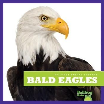 Bald Eagles