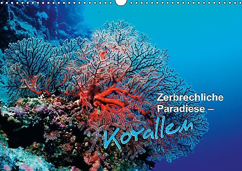 Zerbrechliche Paradiese – Korallen (Posterbuch DIN A3 quer)