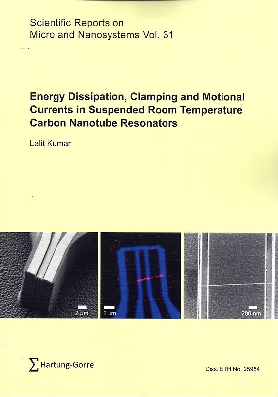 Energy Dissipation, Clamping and Motional Currents in Suspended Room Temperature Carbon Nanotube Resonators