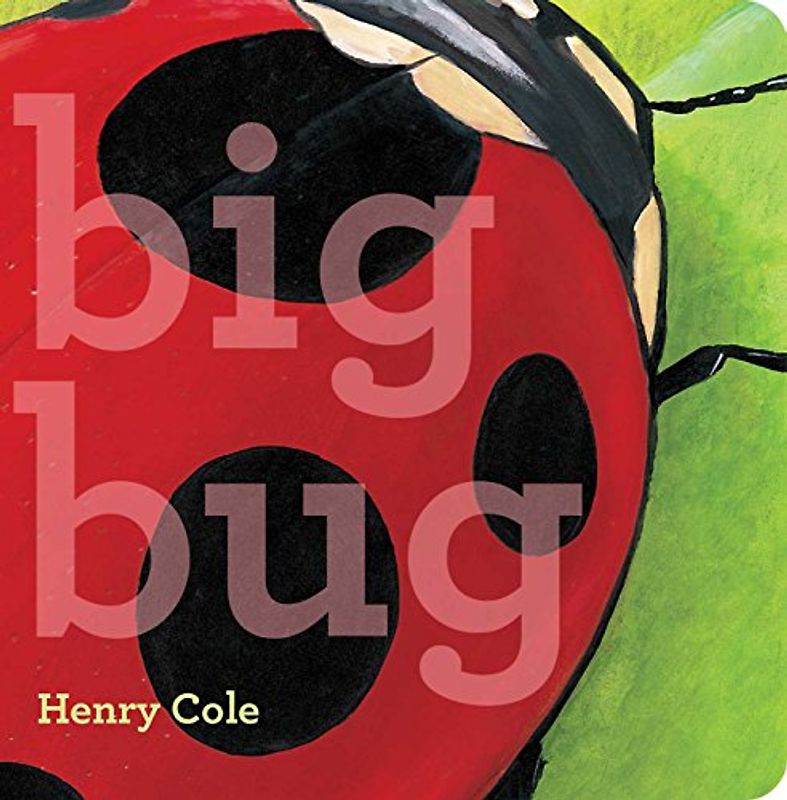 Big Bug (Classic Board Books)