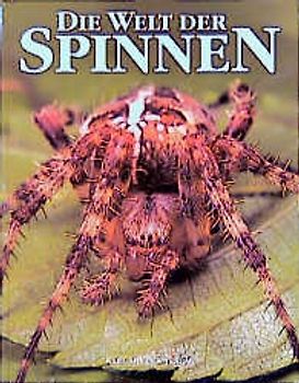 Die Welt der Spinnen