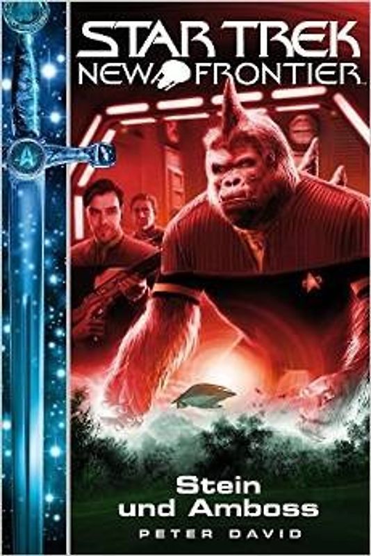 Star Trek - New Frontier 13: Stein und Amboss