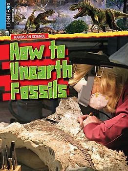 How to Unearth Fossils