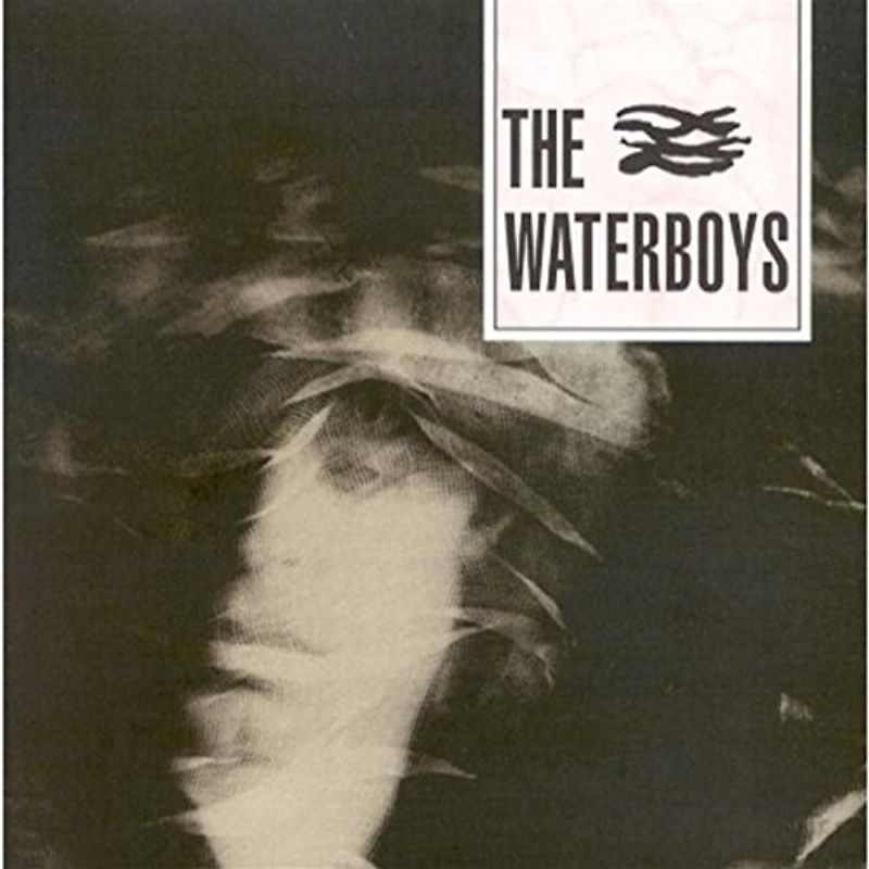 the Waterboys - The Waterboys