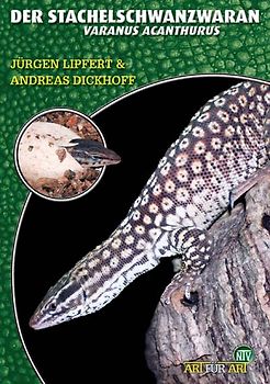 Der Stachelschwanzwaran