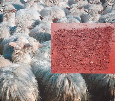 Baunei - Hirtenkultur in Sardinien