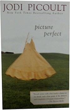 Picture Perfect - Jodi Picoult