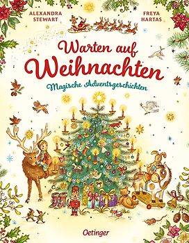 Warten auf Weihnachten. Magische Adventsgeschichten