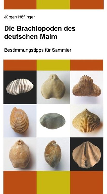 Die Brachiopoden des deutschen Malm