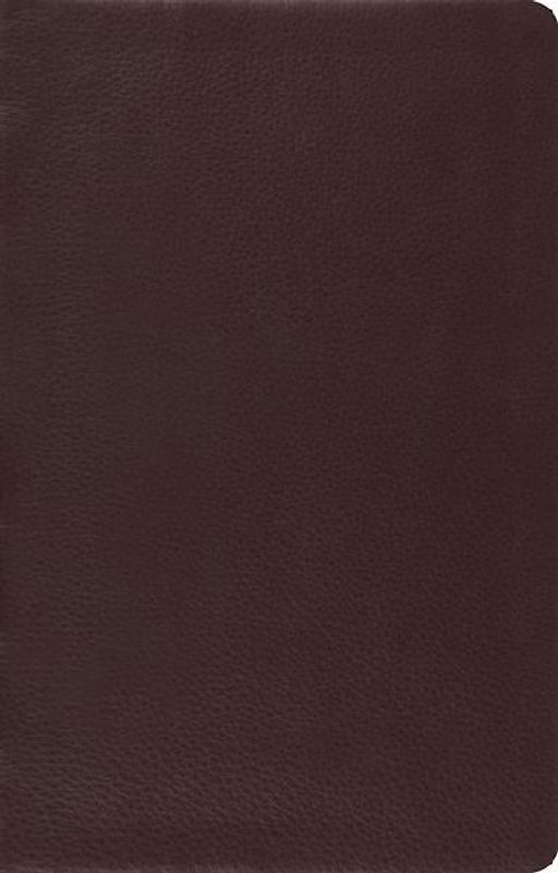 Large Print Thinline Reference Bible-ESV