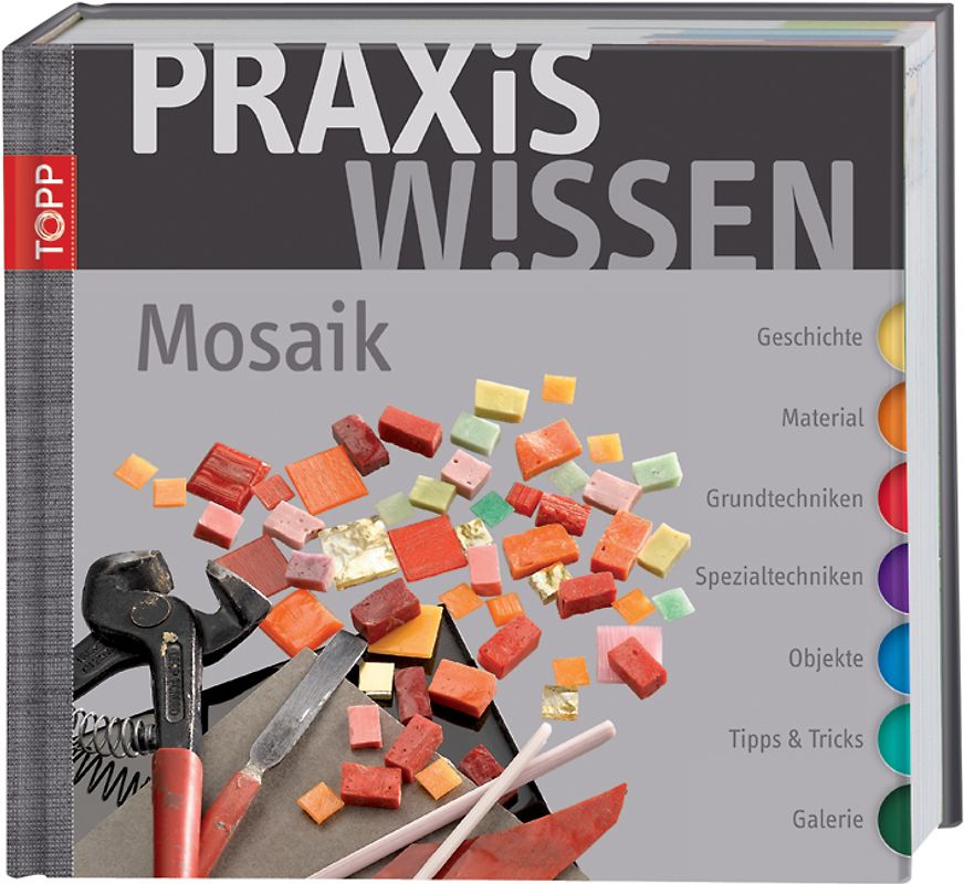 PraxisWissen Mosaik