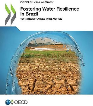 Fostering Water Resilience in Brazil