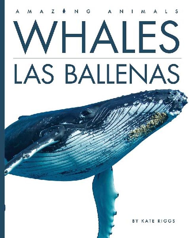 Whales / Las Ballenas