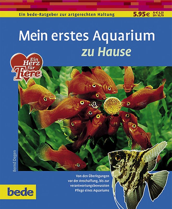 Mein erstes Aquarium zu Hause