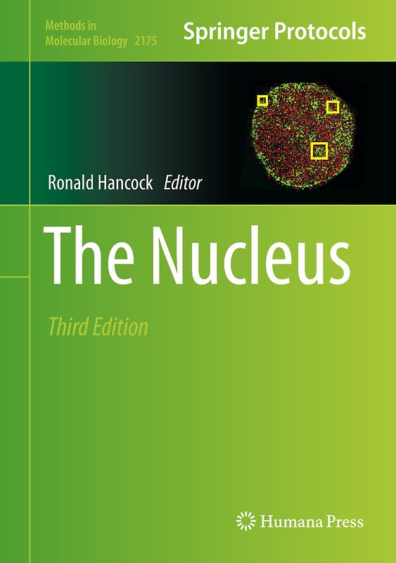 The Nucleus