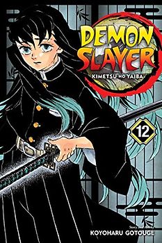 Demon Slayer: Kimetsu no Yaiba 12: Volume 12