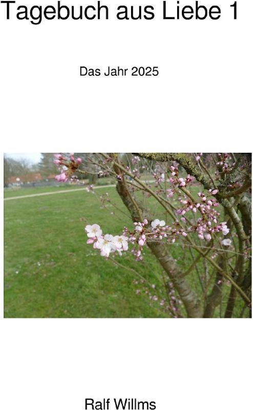 Tagebuch aus Liebe 1