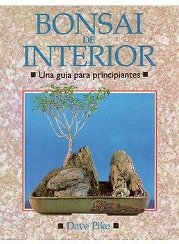Bonsai de interior : una guía para principiantes